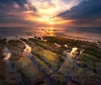 成人在线公开视频-成人在线公开视频，信息时代下的新挑战与应对策略