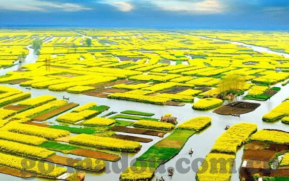大象传媒app安装包-探索大象传媒APP，数字娱乐的新篇章