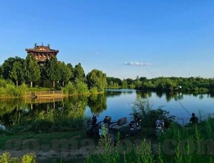 大象传媒隐藏入口-探索大象传媒的隐秘通道，网络文化的深度游历