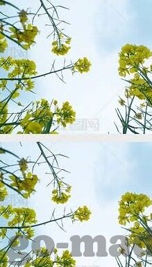 果冻传媒麻豆入口-探索果冻传媒麻豆入口，数字时代的文化消费新视角