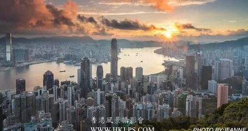 后入人妻在线-探索网络世界的边界，理性视角下的网络行为与伦理
