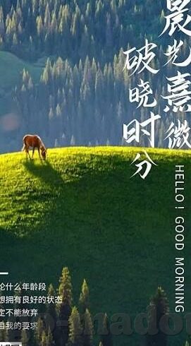 伦理片在线播放w-伦理片，在线观影的道德边界与文化探讨