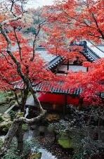 麻豆腐传媒-再造魔幻，麻豆腐传媒的奇幻之旅