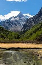 亚洲麻豆av一区二区-探讨亚洲地区网络内容的多样与界限